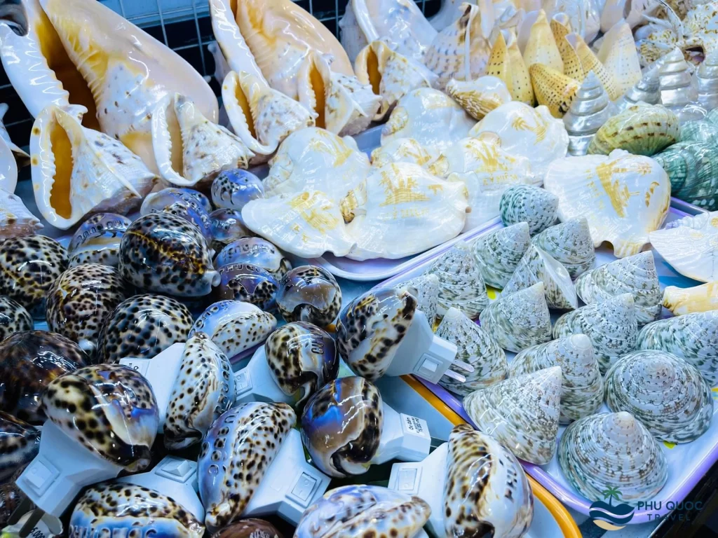 phu quoc night market shell light