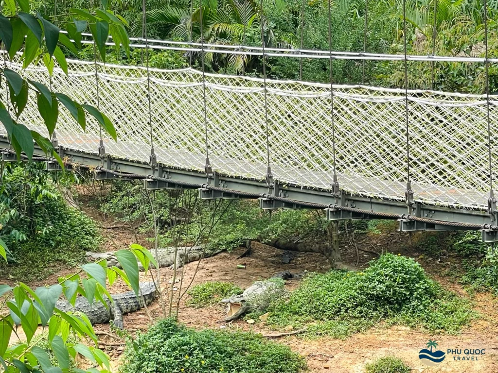 vinpearl safari phu quoc crcodile