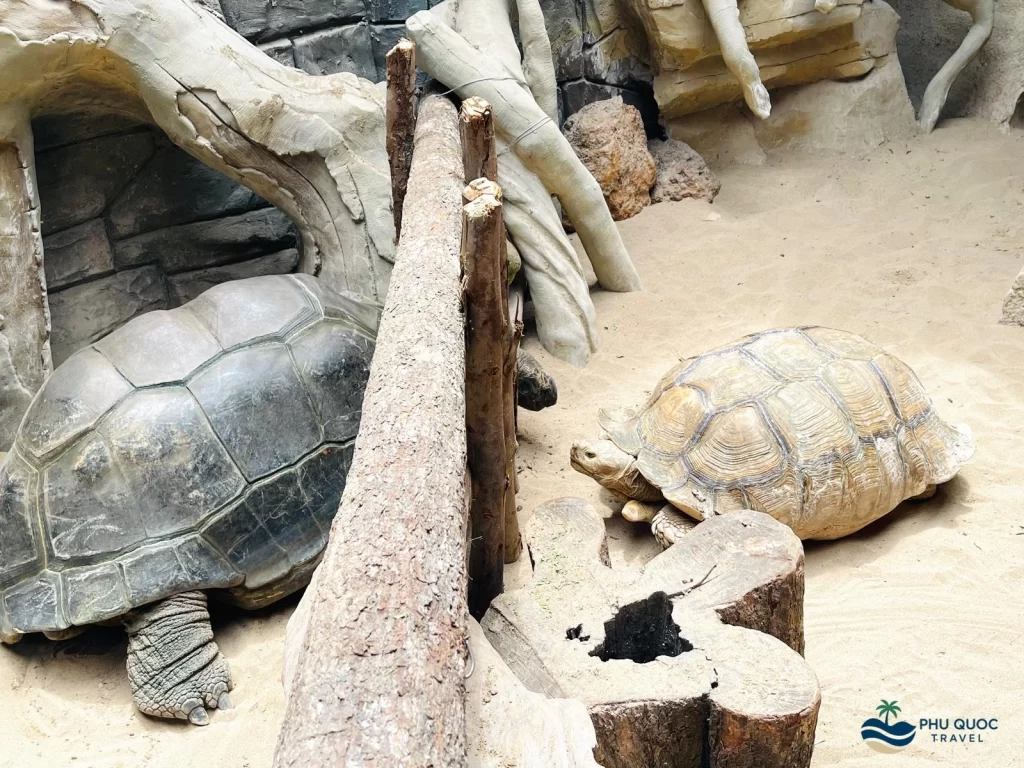 vinpearl safari phu quoc