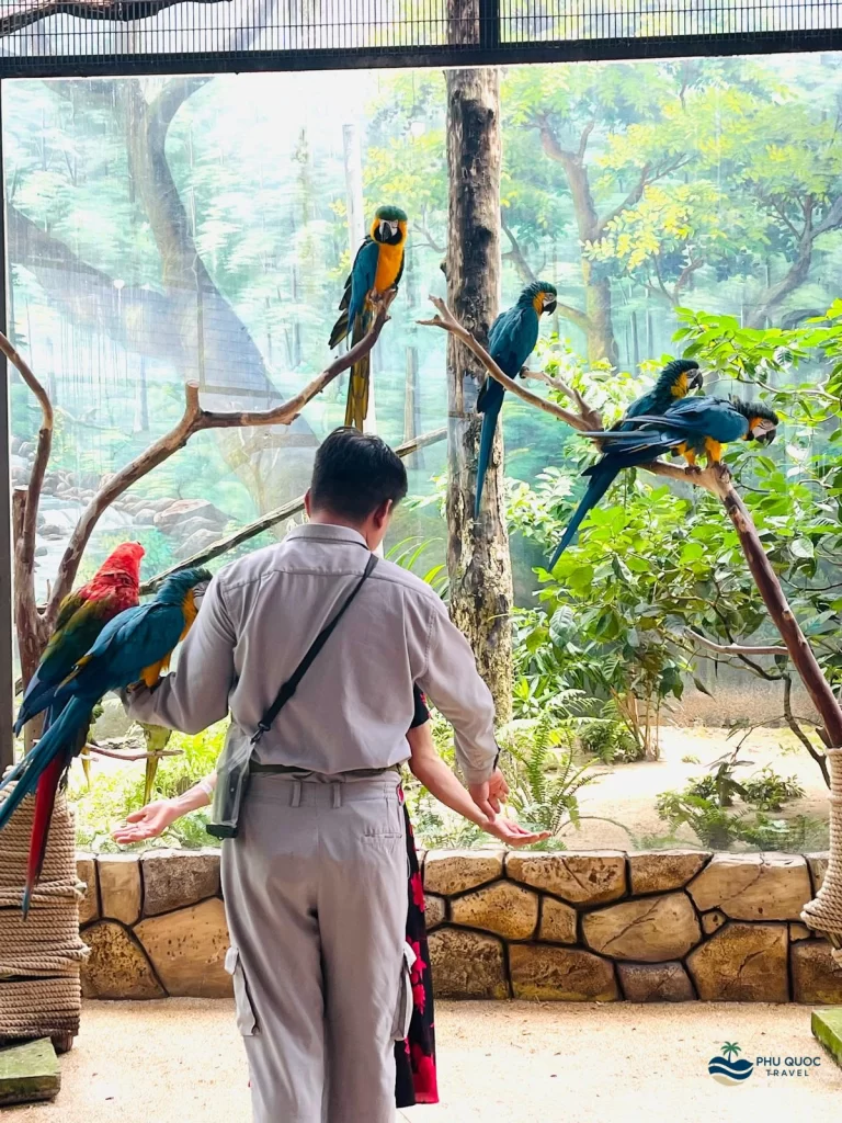 vinpearl safari phu quoc take photo with bird