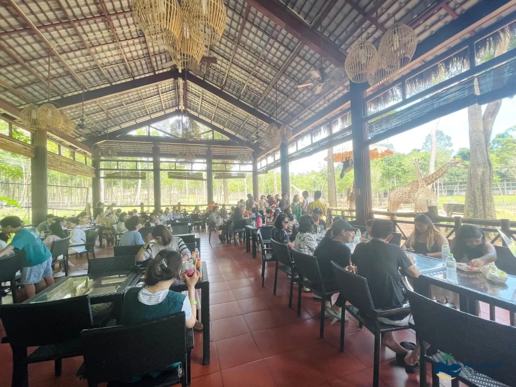 vinpearl safari phu quoc giraffe feeding