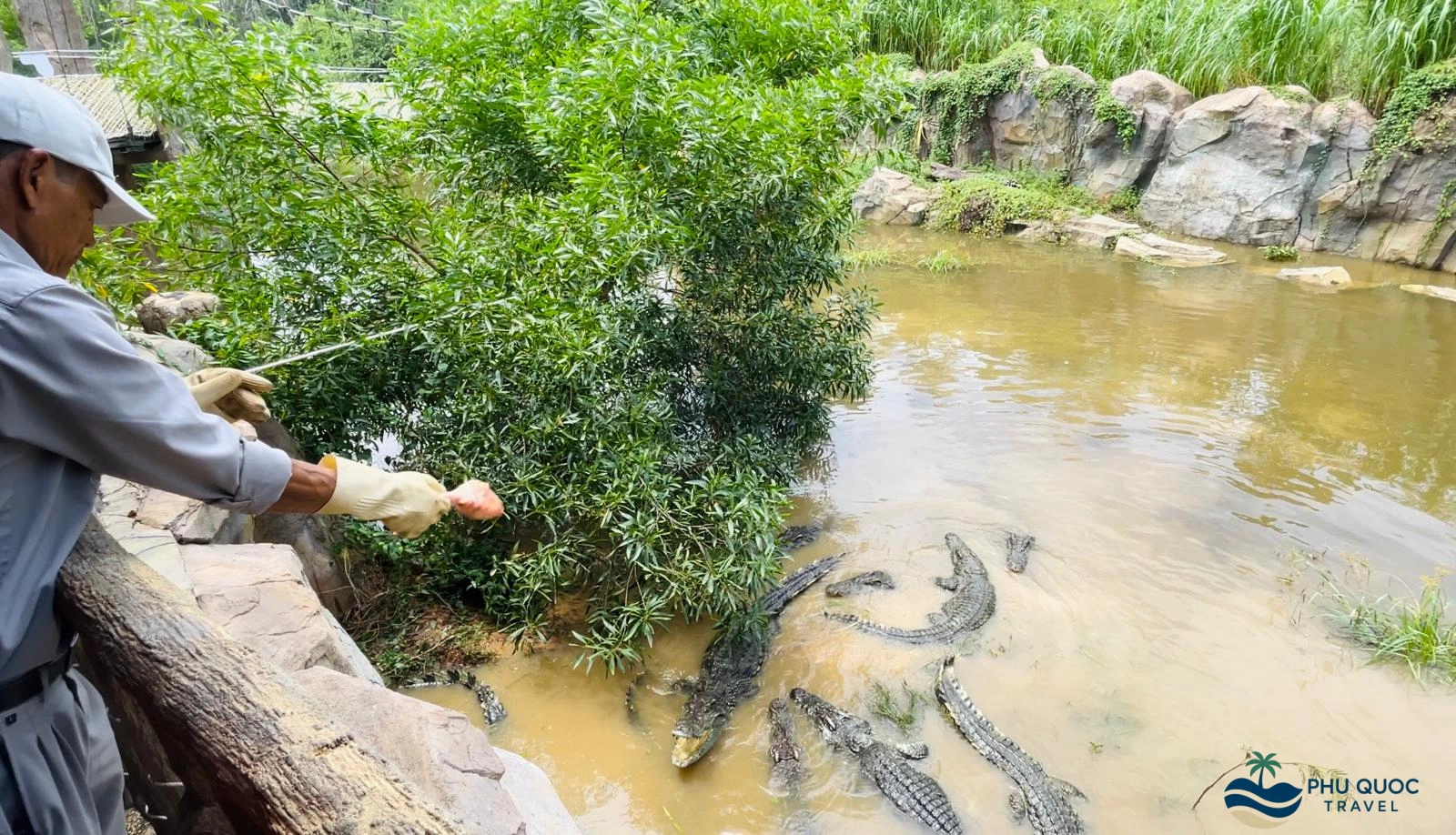 vinpearl safari phu quoc crcodile