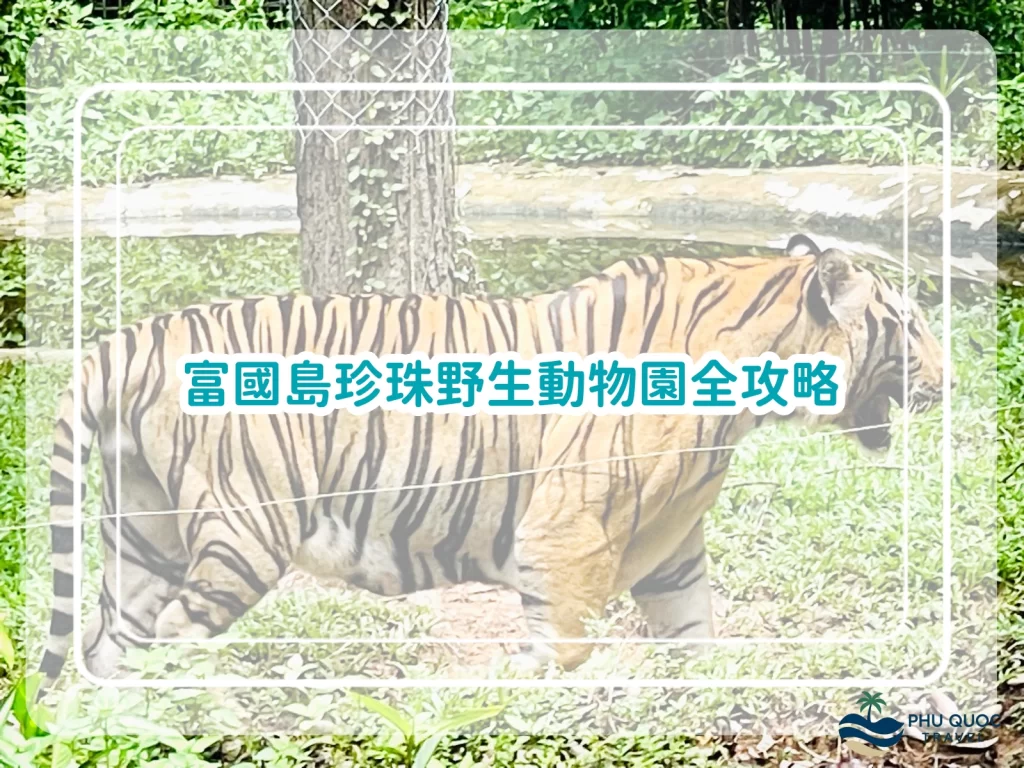 富國島珍珠野生動物園Vinpearl Safari｜15大亮點｜遊園路線、交通、表演時間總整理
