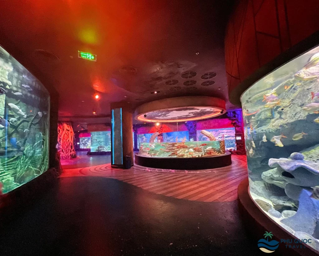 vinwonder phu quoc the seashell aquarium