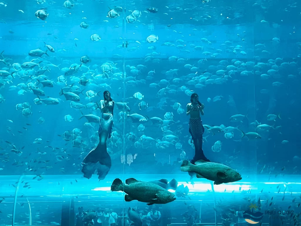 vinwonder phu quoc mermaid show