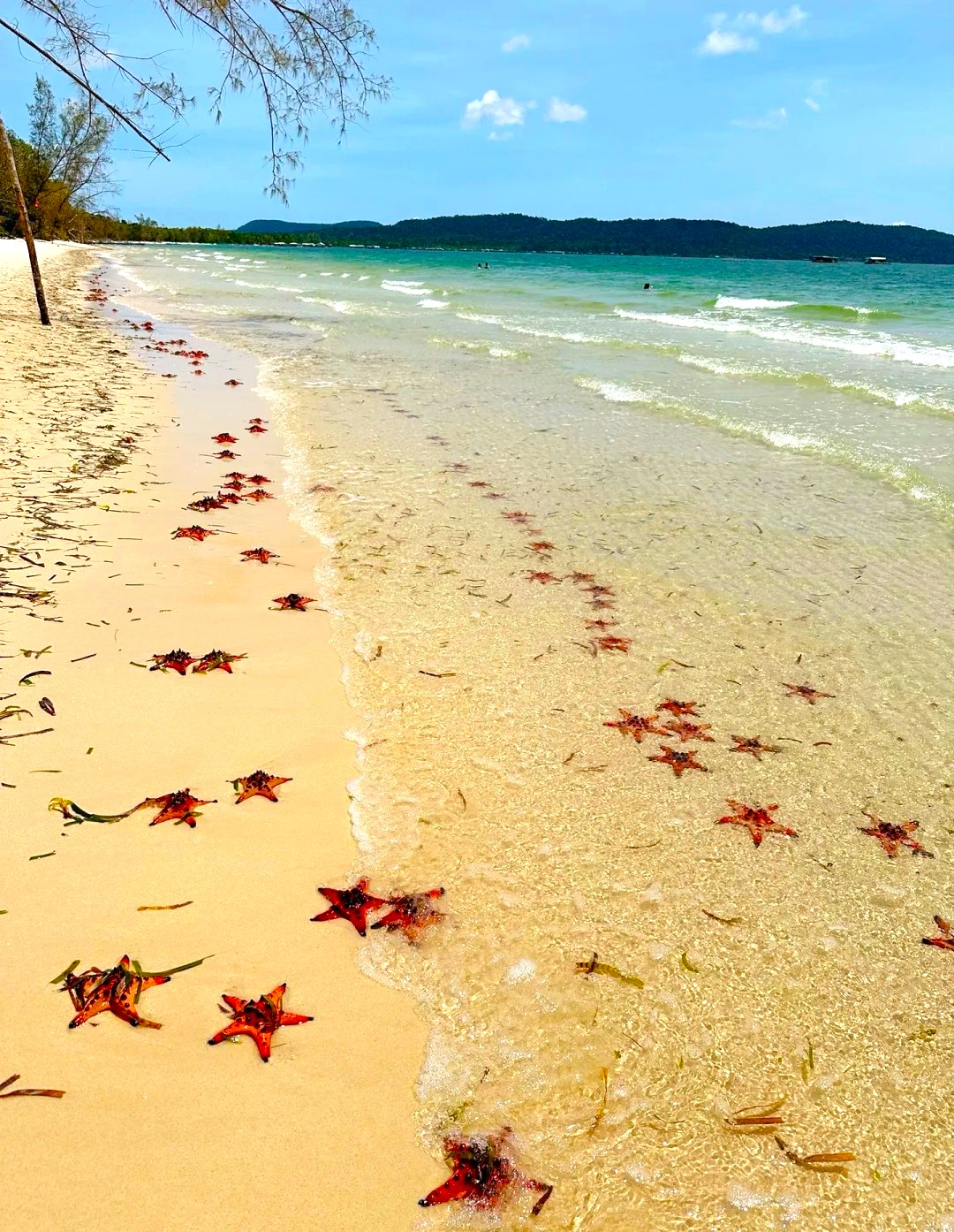 富國島海星沙滩